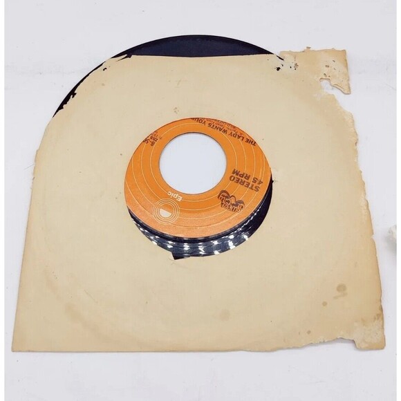 Vintage 76 45 RPM Wild Cherry Play That Funky Music Lady Wants Your Money Record - Picture 2 of 8